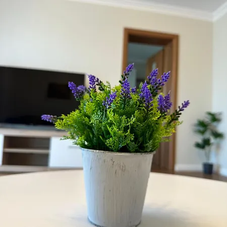 Kc Studio&apartment Апартаменти